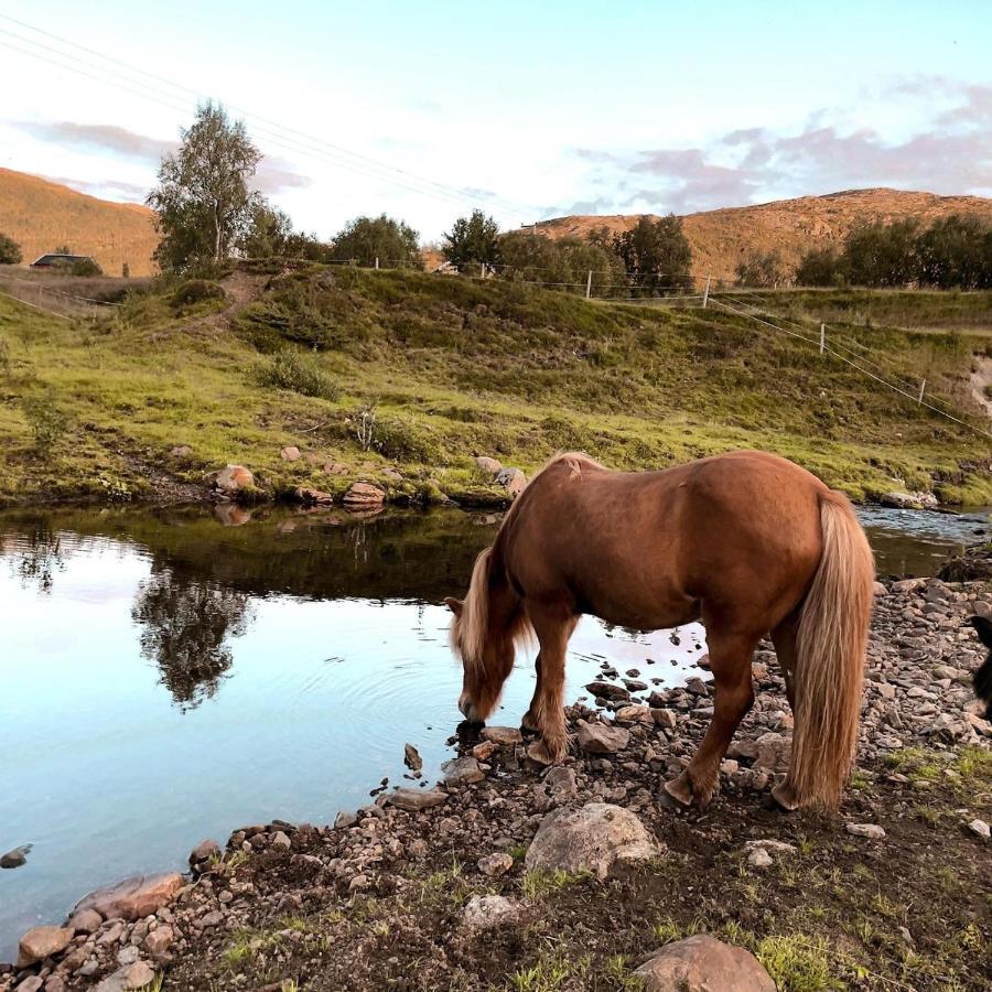 Storjord Farmstay Ranchhouse Kvaloya 外观 照片