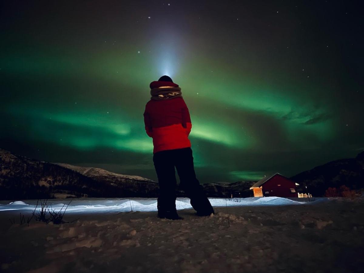 Storjord Farmstay Ranchhouse Kvaloya 外观 照片