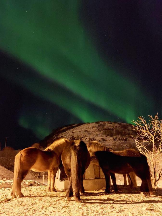 Storjord Farmstay Ranchhouse Kvaloya 外观 照片