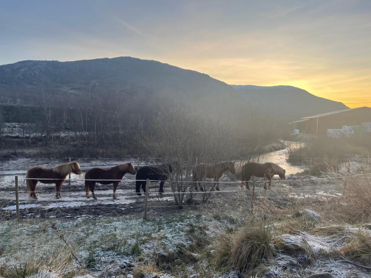 Storjord Farmstay Ranchhouse Kvaloya 外观 照片